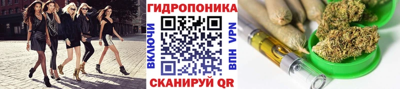 Канабис гибрид Майский